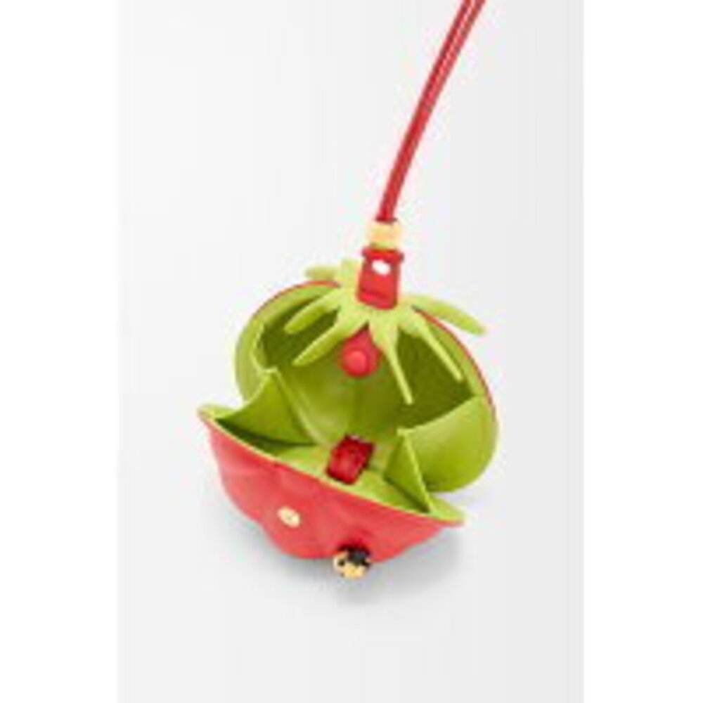 LOEWE Spring Summer Tomato Neck Pouch Red - Picture 3 of 4